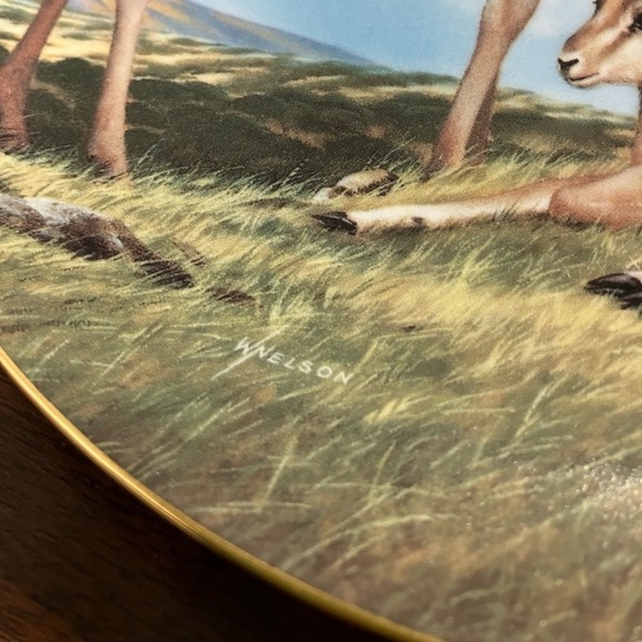 Will Nelson Decorative Plates “The Endengered Species” 1990-1993 Editions - Picture 9 of 12